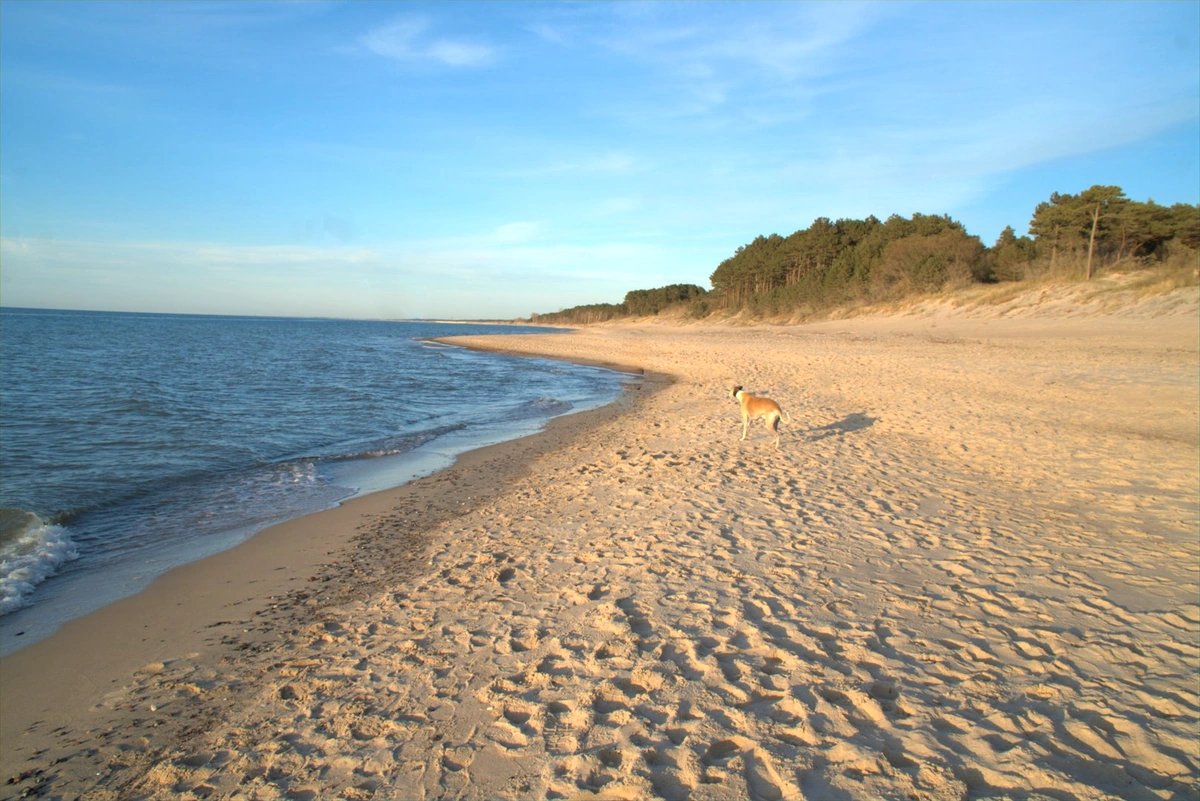 Plaża 150 m